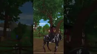6.7 transition 😝#sso#magichorse#fypシ゚viral