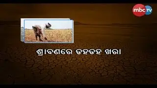 Jharsuguda: Farmers fears for drought, Cracks in agricultural Lands || MBCtv