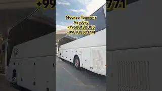 МОСКВА ТАШКЕНТ АВТОБУС 2025 НАРХЛАРИ УЗ АВТО ТРАНС #москва #ташкент #автобус #самара #пенза #рязань