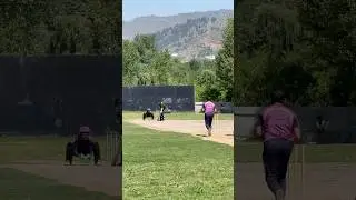 Middle of the bat 😍 #cricket #shorts #ipl2025 #cricketshorts #psl2025 #trending
