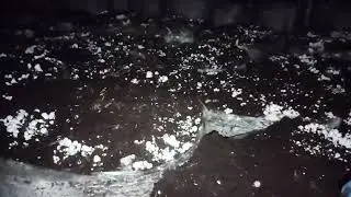 पिनिंग फॉर्मेशन क्या होता हैं? पिन फॉर्मेशन के दौरान क्या- क्या सावधानियां रखनी चाहिए?
