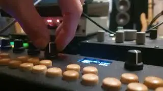 Organelle analog heat critter guitari elektron experimental electronic idm glitch 