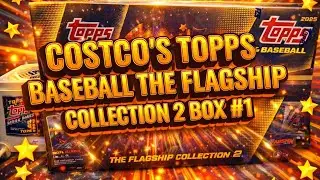 Costco's Topps Baseball The Flagship Collection 2 Box #1 Pulled a numbered Aaron Judge!