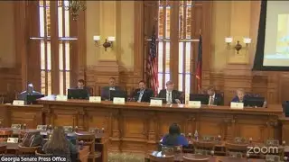 LIVE STREAM | Georgia Senate special committee on eliminating state income tax
