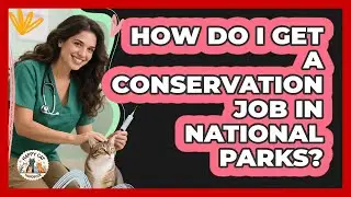 How Do I Get A Conservation Job In National Parks? - Animal Care Jobs