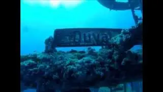 2013 vandenburg  dive key west