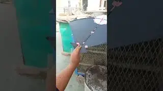 WOW PATANG