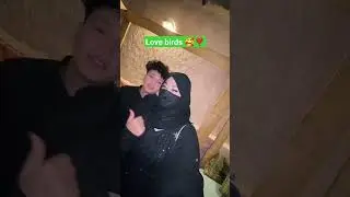 habibi come to dubai AYUSH , alizeh love birds