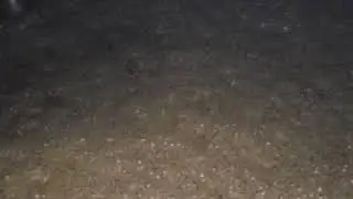 Fermenting Wheat vodka at Long Branch Distillery, New Jersey (NJ)