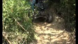 quadrush final.wmv