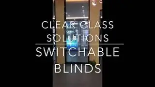 Switchable Privacy Glass Blinds