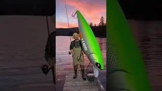 🎣🐟🦈 Chico el se&ntilde;uelo #funny
