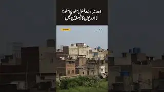 Basant Festival in Lahore: Approved or Disapproved? Here's What Lahore's People Have Decided