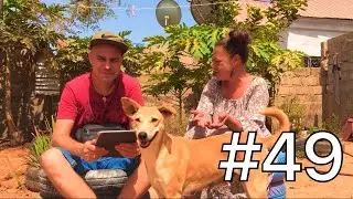 SeneGambia: Powr&oacute;t do korzeni 49 - Potrzebna pomoc!