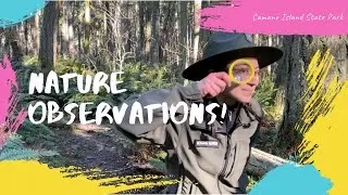 Nature Observations at Camano Island State Park