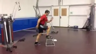 Cable Reverse Lunge/Box Step-up