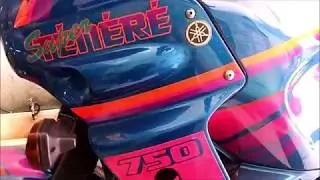 Limpeza dos Carburadores da Super Teneré-750 (Vieira)