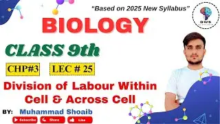 Division of  Labour Within Cell & Across Cell  | Class 9th Biology || New book 2025 || BWS ACADEMY |