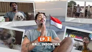 🇮🇩Indonesia 🐶 Puppy Yoga to Tarot Bar in Bali &bull; EP 2