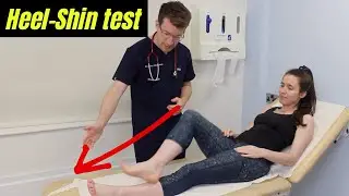 How to perform a HEEL-TO-SHIN TEST to assess CO-ORDINATION | Neurological Cerebellar Exam Skills