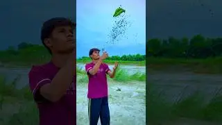 Bananas creative nature video idea #videography #nature #amazing #creative #shorts