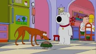 Family Guy - Dogs eat in the Kitchen