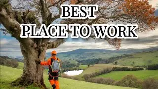 Chainsaw Chaos: SawBandits' Hilarious Weekly Tree Vlog!