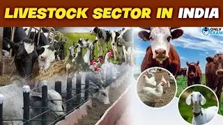 Role of livestock sector in Economy | Suitable measures to promote Livestock sector in India |