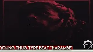 [Free] Young THug Type Beat 