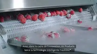 Freshline&reg; Smart Technology in Your Crygenic Freezing Process | Air Products
