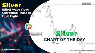 Silver Elliott Wave View: Correction Phase or Final High?