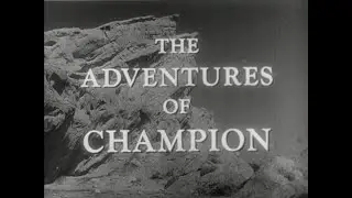 Champion the Wonder Horse