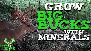 Grow Bigger Bucks, Easy Tip   S7 #17