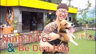 Gặp Ninh TiTo & Dưa Hấu tại Buổi Offline: Vietnam Beagle Club/ NhamTuatTV - Dog in Vietnam