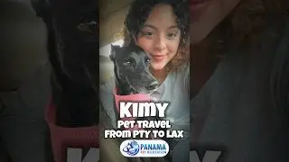 ✈️Moving Pets  from Panama to Los Angeles✈️