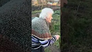 tutto il giro nell'orto a prendere le verze