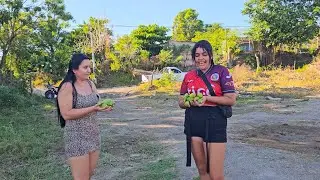 Que alegría encontramos mangos.