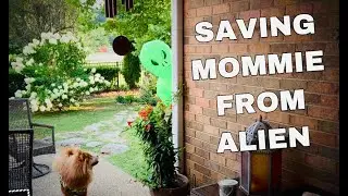 Dogs saving Mom from Alien - Area 51