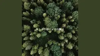 Fiery Music for Chill Favorites