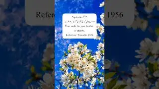 your smile for your brothers is charity. islamic | short |  Hadith | Hadith Shareef | shortvideo