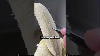 does bananas have seeds?😱