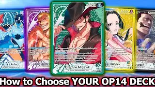 EVERY OP14 Leader Explained!
