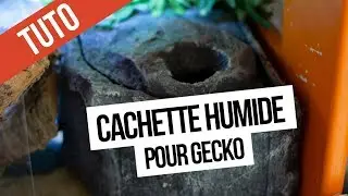 Comment fabriquer une boîte à mue - TUTO