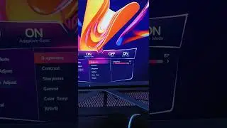 LG OLED 27GR95QE Best Picture Settings for PC Users#shorts