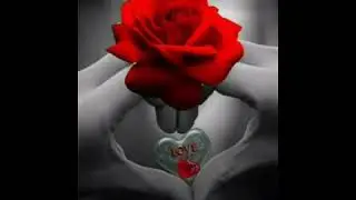 آهنگ اوزبکی به آواز ابوبکر محبوب🌷🌷👍