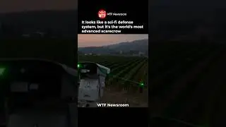 World's Most Advanced Scarecrow: The Autonomous Laser Defense System