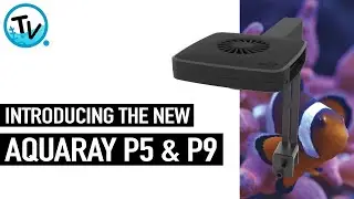 AQUARAYS ARE BACK - Introducing the new P5 & P9