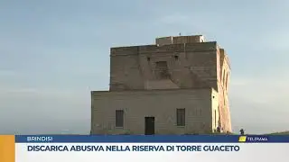 Discarica abusiva nella riserva di Torre Guaceto