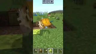 &macr;\_(ツ)_/&macr; #razzyminecraft #minecraft #reallyworld #майнкрафт #мем #domer #подпишись #memes #майн