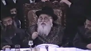 חצר הקודש ויזניץ(3)